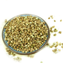 Well selected Hulled hemp seed for bird seeds